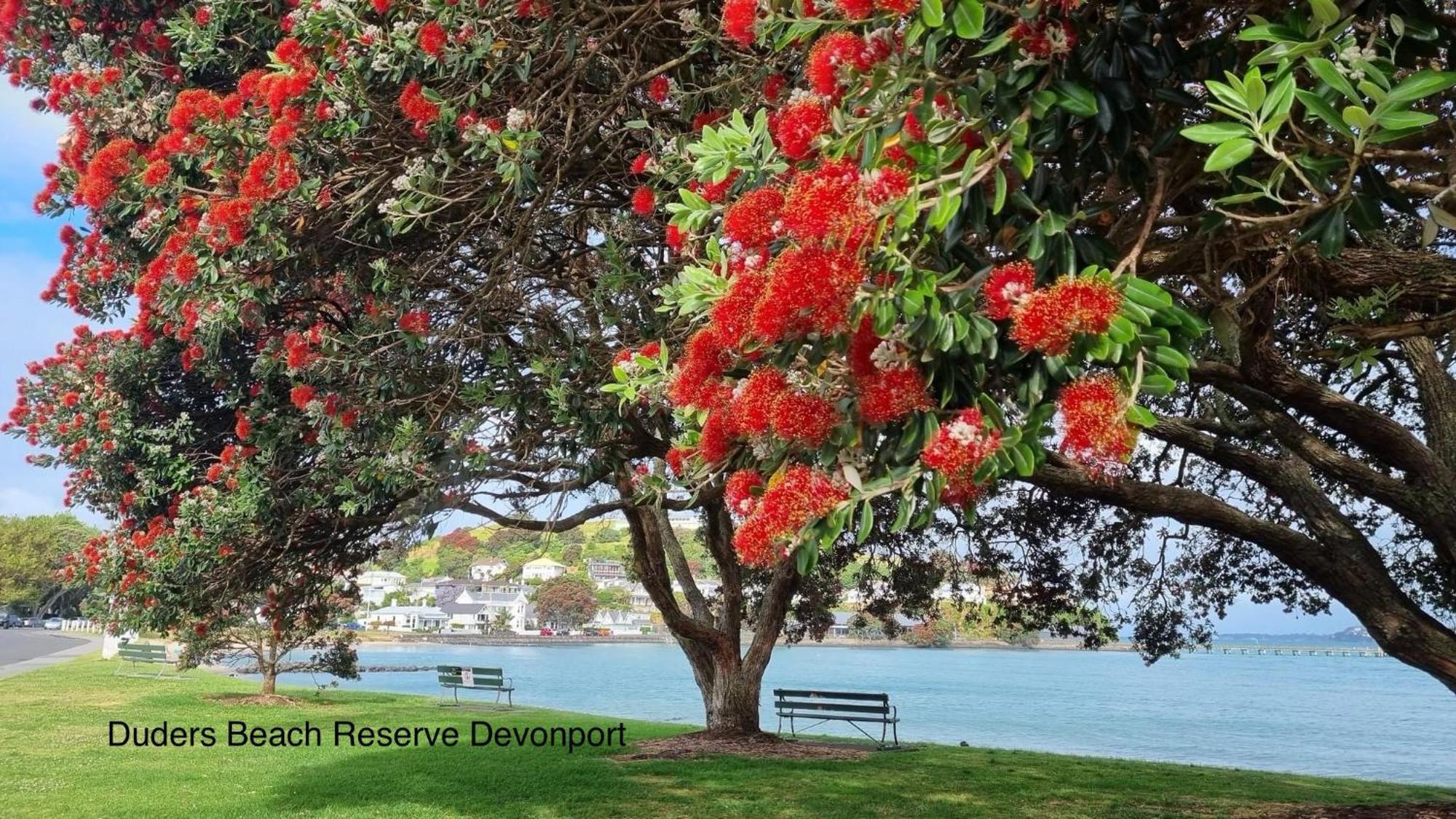 The Partchery Devonport Auckland Zewnętrze zdjęcie